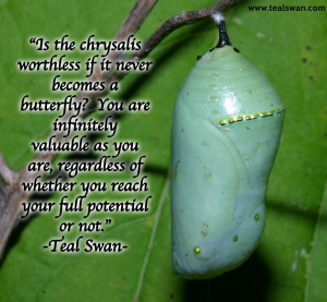 Submit a Comment Cancel reply