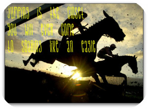 Horse Jumping Quotes And Sayings http://www.freewebs.com/breyer106 ...