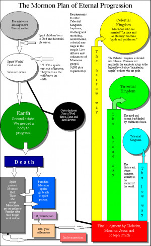 About Contact Disclaimer DMCA Notice Privacy Policy