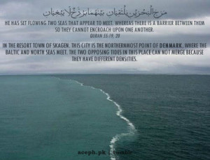 quran islamic quotes two seas meet islam inspirational miracles surah rahman teachings each sea verses miracle he allah which quotesgram