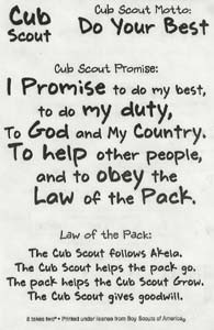 Scout Law Clear Sticker