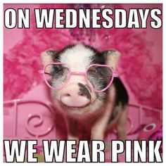 On Wednesdays we wear Pink! More