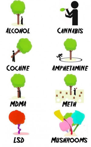 Different drugs - different effects