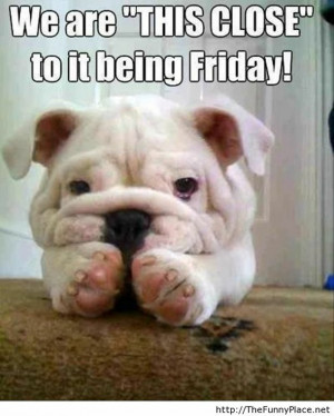 Friday Tomorrow Funny Quote