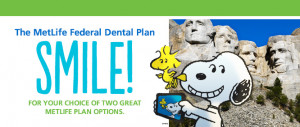 MetLife Dental Insurance Quotes
