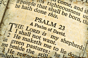 ... psalms that testify specifically of jesus such as psalm 23 the lord is