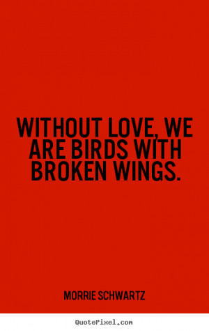Without Love We Are Birds With Broken Wings. - Birds Quote