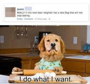 baking funny pictures