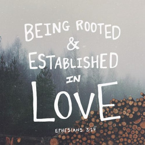 And I pray that you, being rooted and established in love, may have ...