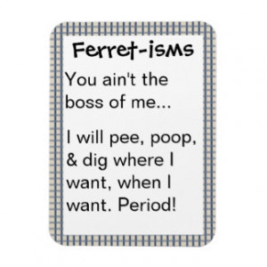 Funny Ferret-ism Quotes Rectangle Magnets