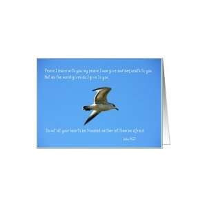 127122483_amazoncom-scripture-quote-john-1427-bird-in-flight-photo.jpg
