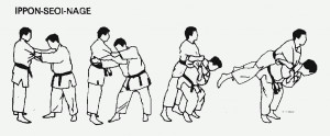 Judo Toshihiko Koga Ippon