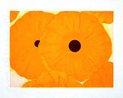 kelly thiebaud image of kelly thiebaud kelly thiebaud screened | High ...