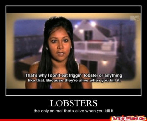 funny snooki lobsters only animal alive when you kill it