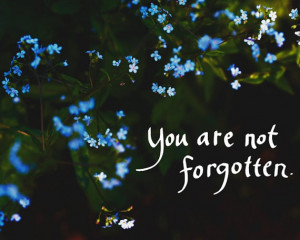 You are Not Forgotten Photo of Blue Flowers and Quote Instant Digital ...