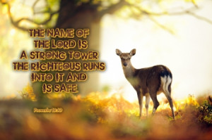 ... , animals, scriptures, deer, jesus, bible verses, bible, holy spirit