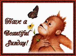 http://www.pictures88.com/sunday/have-a-beautiful-sunday/