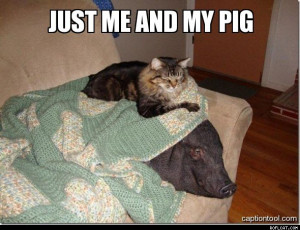 Just Me And My Pig