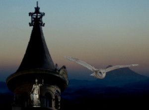 ... an illusion makes you wiser than finding a truth.