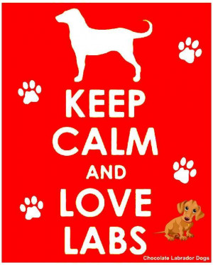 Love Labs