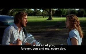 the notebook - noah and allie