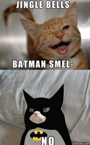 Grumpy Batman MEME 2015