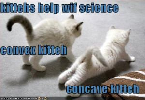 My Top Collection Funny pictures of cats and kittens 2