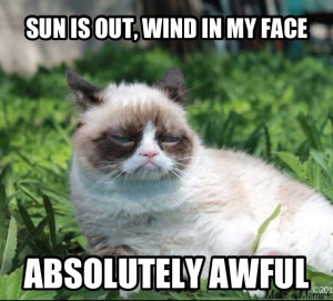 Top 40 Most Funny Grumpy Cat Images with captions #Captions