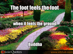 ... -20-most-popular-quotes-buddha-most-famous-quote-buddha-16.jpg