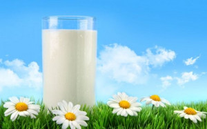 Study Suggests Organic Milk has Better Balance of Healthful Fats, is ...