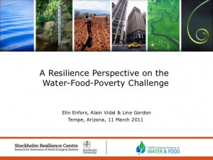 Resilience Perspective on the Water, Food, Poverty Challenge
