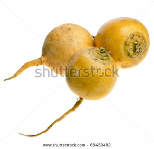 varieties of turnips including white turnips and a yellow turnip