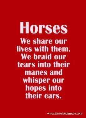 Cowgirl quote: Horses Quotesmi, Horses Quotes Mi, Horse Quote, Quotes ...
