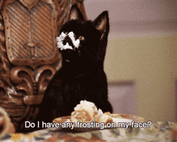 quote Sabrina the teenage witch Salem Saberhagen salem sabrina