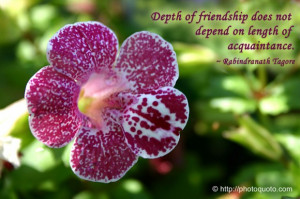 Sayings, Quotes: Rabindranath Tagore