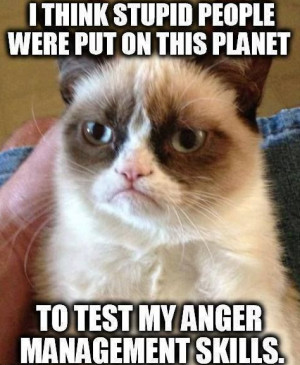 think stupid people were put on this planet to test my anger ...