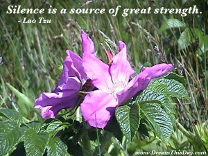 Silence is a source of great strength .