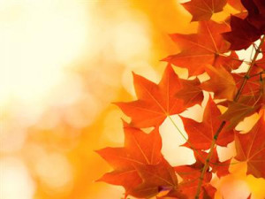 Inspiring Quotes About Autumn