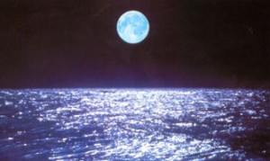 The Rabbit Moon Hot Day June