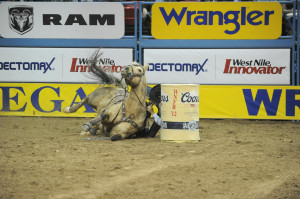Governing body for college rodeo competition in the United States ...