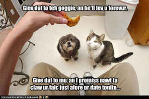 So many! This is the hard part.