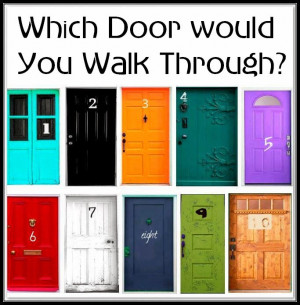 WHAT DOOR WOULD YOU WALK THROUGH ?