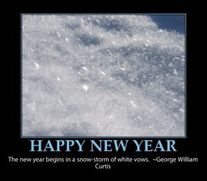 Happy new year-funny quote
