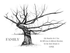 Family Tree Drawing