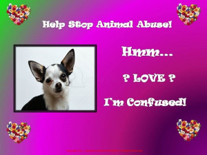 Help Stop Animal Abuse! Hmm ! Love ! I’m Confused! ~ Animal Quotes