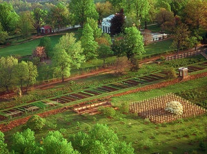 ... garden and south orchard. Copyright © Thomas Jefferson Foundation