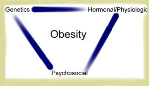 Causes Of Obesity In America