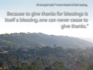 Thanks For Blessings Islamic Quote wallpaper