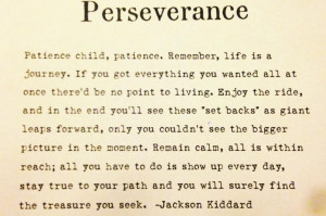 Perseverance quote. Great one !