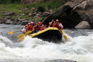 Request a custom quote for White Water Rafting